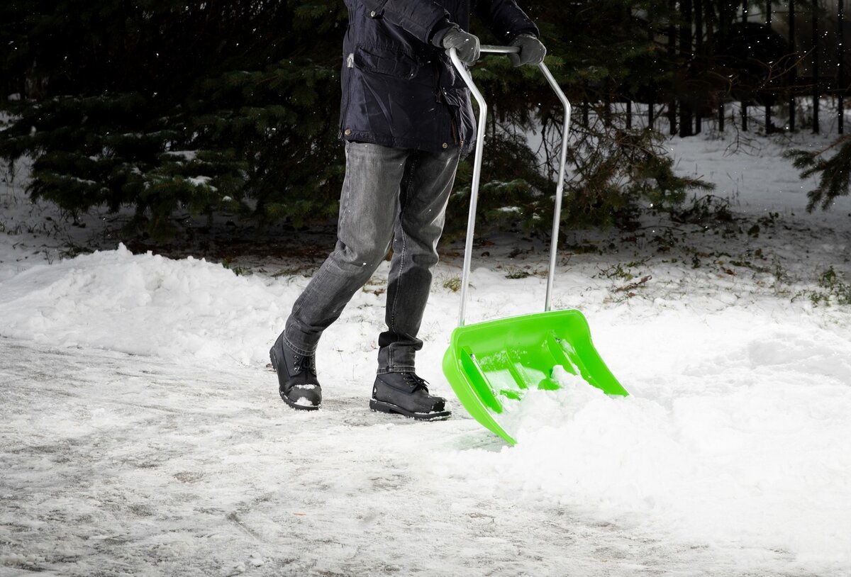 лиственные растения более устойчивы к загрязнению воздуха. учёные установили что хвойные деревья ель сосна менее устойчивы. условия равновесия сил 7 класс. тем что более устойчивы на. константа нестойкости и устойчивости комплексных соединений.