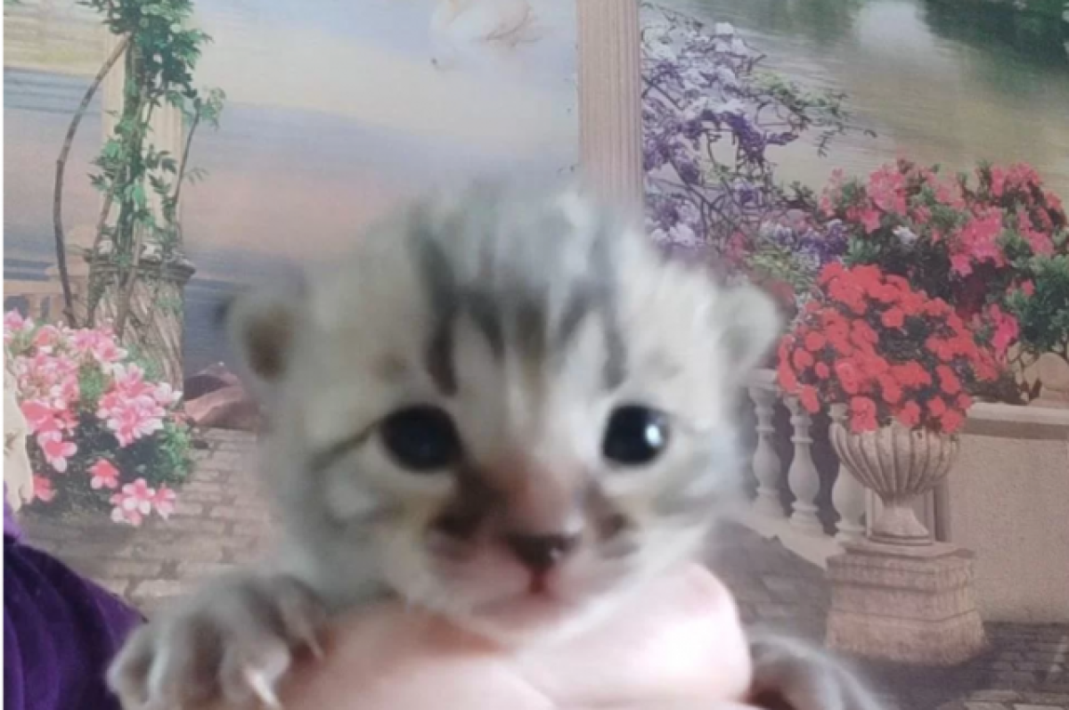 описание картины левитана. левитан март сочинение. исаак ильич левитан картина сумерки. лучше всего левитана можно понять и крепче. описание картины левитана золотая осень.