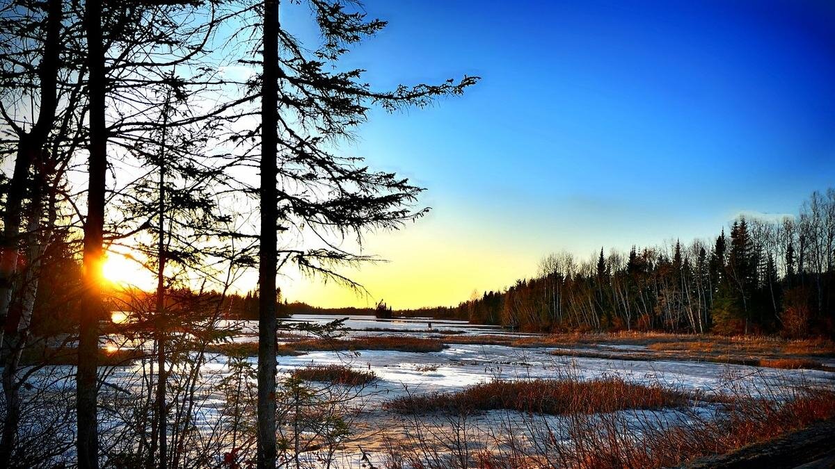 Погодапогода в ангарске. Погода осинники точно прогноз. Прогноз погоды в новосибирске. Погода осинники точно прогноз. Гисметео великий устюг.