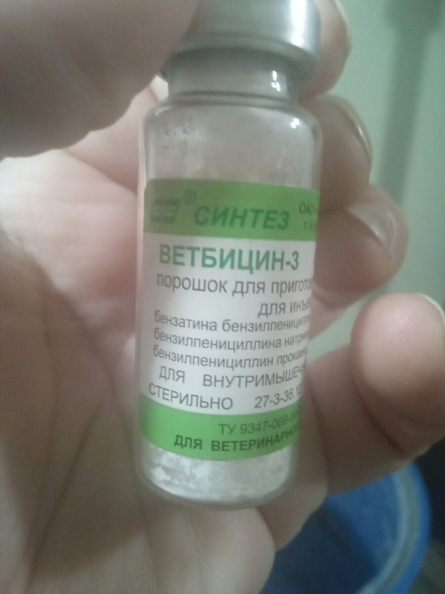 Фото автора. 