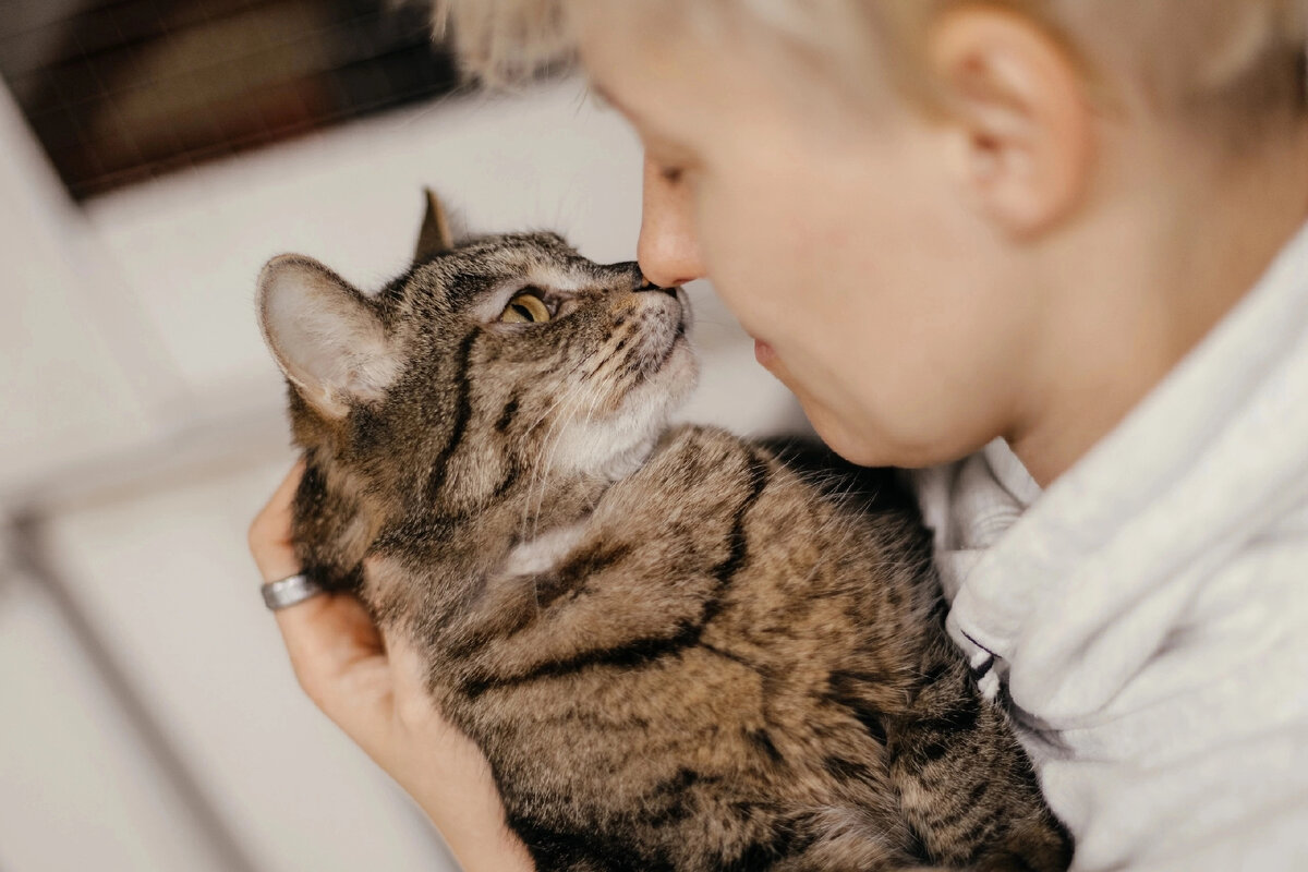 Разрешение для shorts. Артик и асти очень очень. Co2 артик и асти. Артик и асти очень очень. Очень очень ремикс.