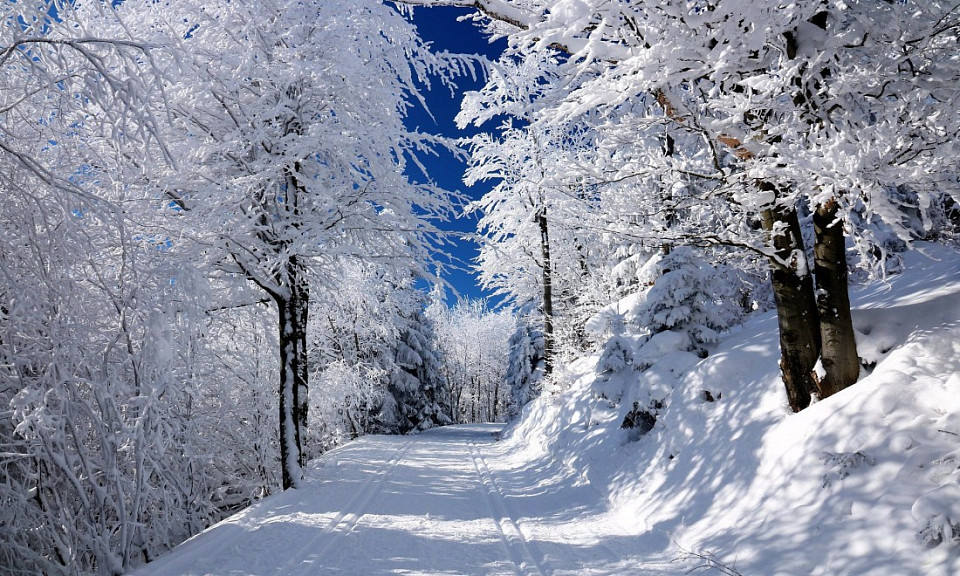 Фото freepik.com