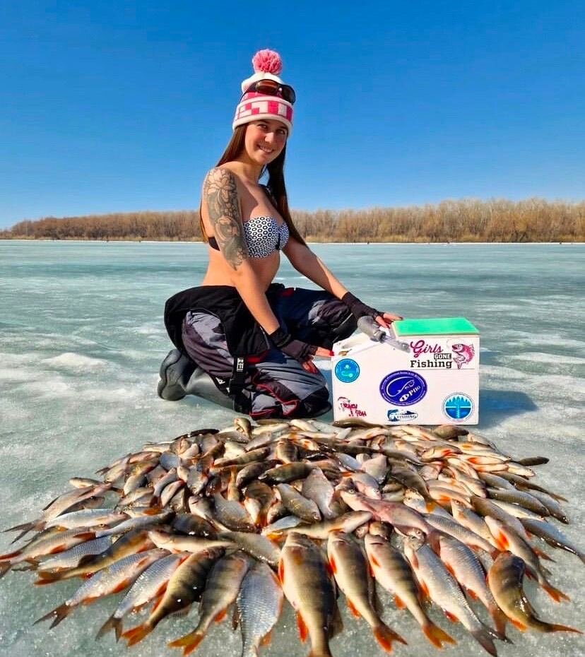 Брошюратор пружинный. Как правильно одеть пружину. Папка на пружинах. Как правильно одеть пружину. Брошюратор oma sd- 250.