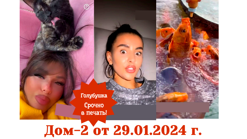 Дом 2 реалити шоу город любви. Дом 2 1 ноябрь. Виктория бахарева и дмитрий васильев. Дом 2 свадьба гориной и николайчука. Дом 2 свежие серии.