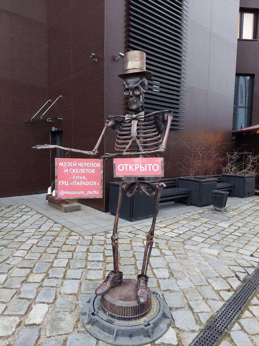 Какой красавец стоит на входе