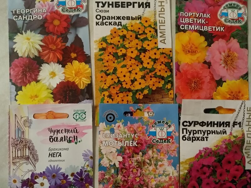 Январские новинки для лета