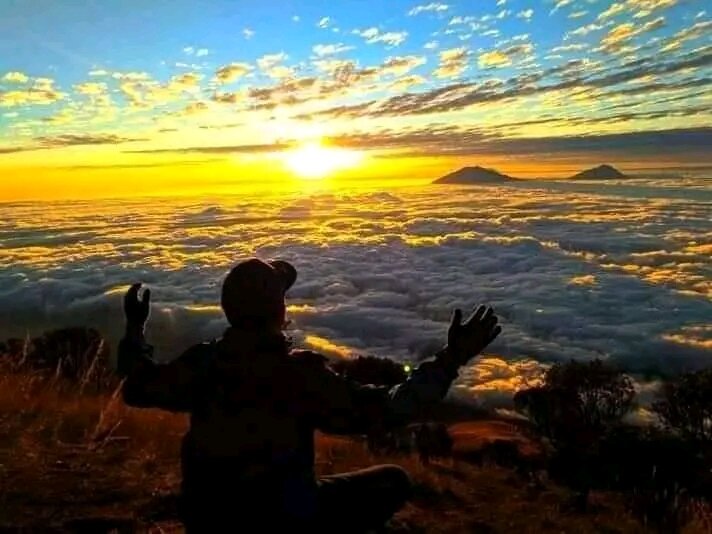 D Shows a beautiful natural atmosphere with the setting sun in the afternoon