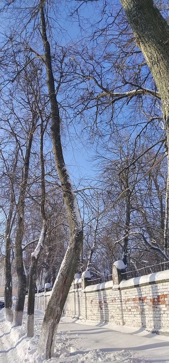 Личное фото