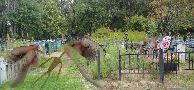 Вольтъ обычно дѣлается из воску, и нарѣкается имѣнѣмъ таго человѣка къ которому дѣлается прiвязка. 