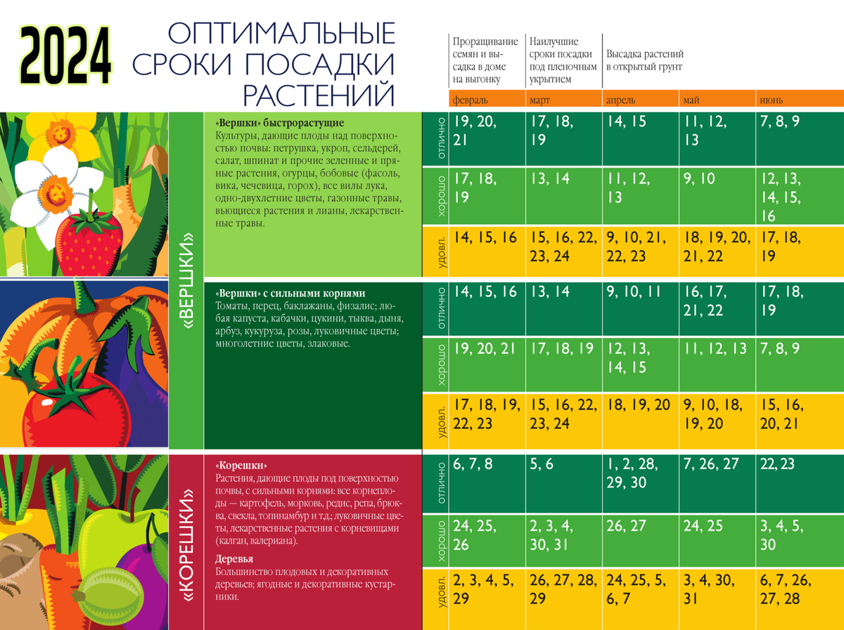 Лунный календарь сеять помидоры на рассаду