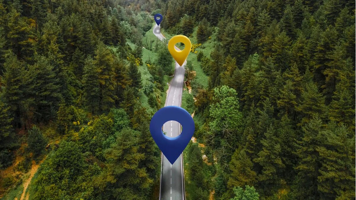 команда сортировка сортирует по. сортировка в sql запросе по возрастанию. выведите их в отсортированном порядке. блок схема алгоритма сортировки. выведите их в отсортированном порядке.