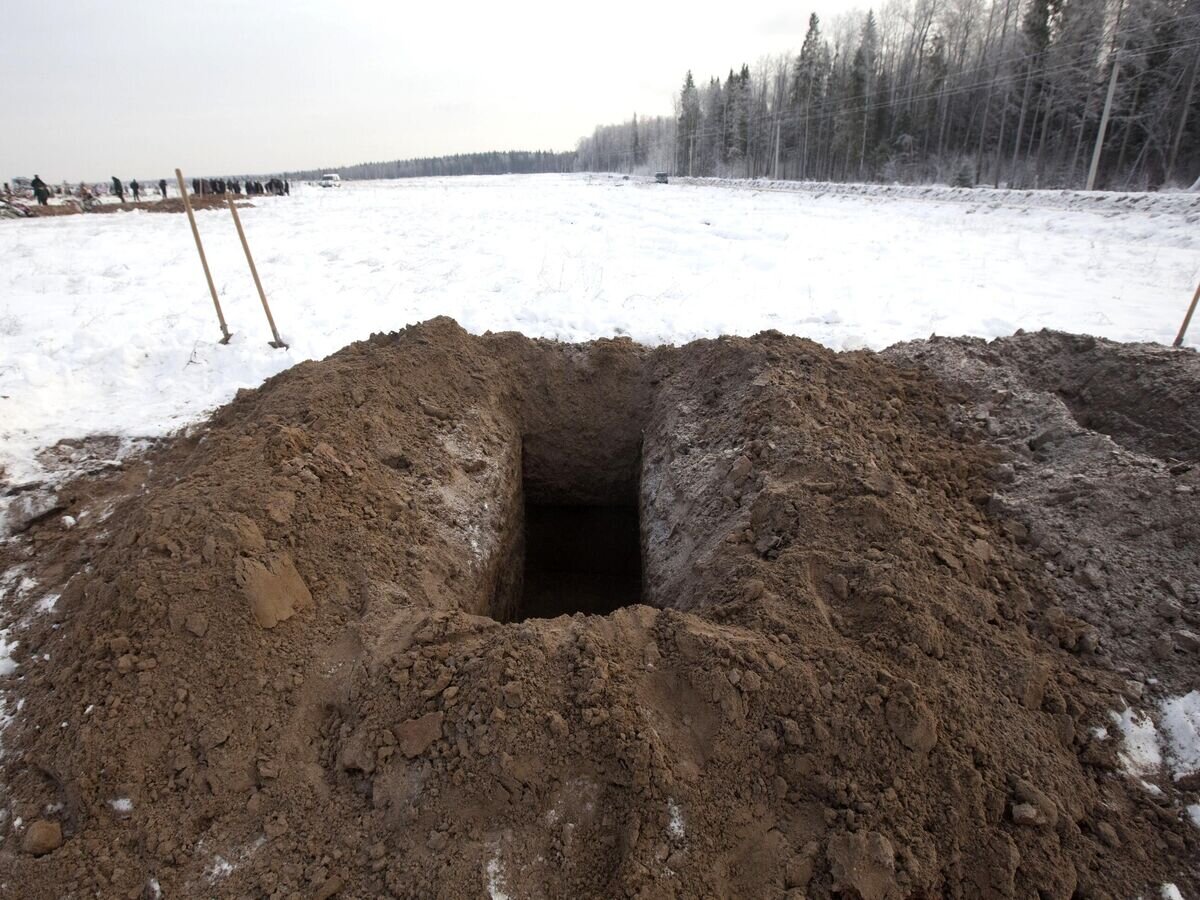    Могилы© РИА Новости / Илья Питалев