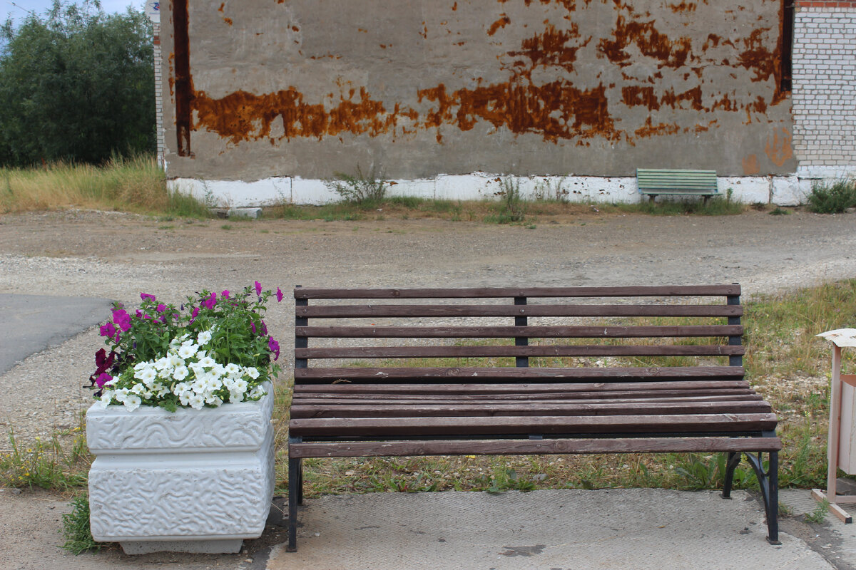 Так выглядел уютный сквер прошлым летом