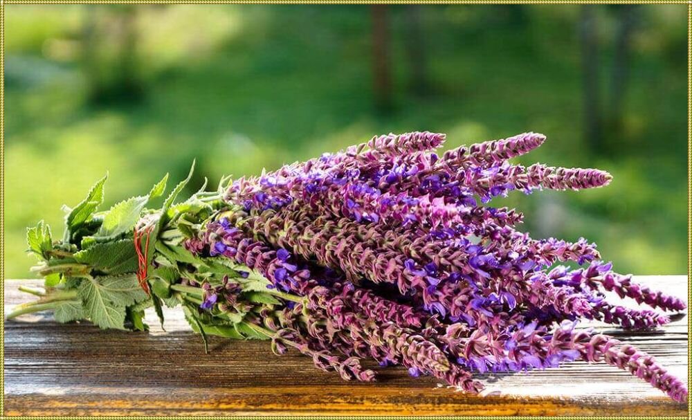 Сырьё и полуфабрикаты для приготовления соусов. Запасы для управленческих нужд это. Алкилфенолы применяются для производства. Сырье для получения сахара. Подготовка сырья для приготовления теста.