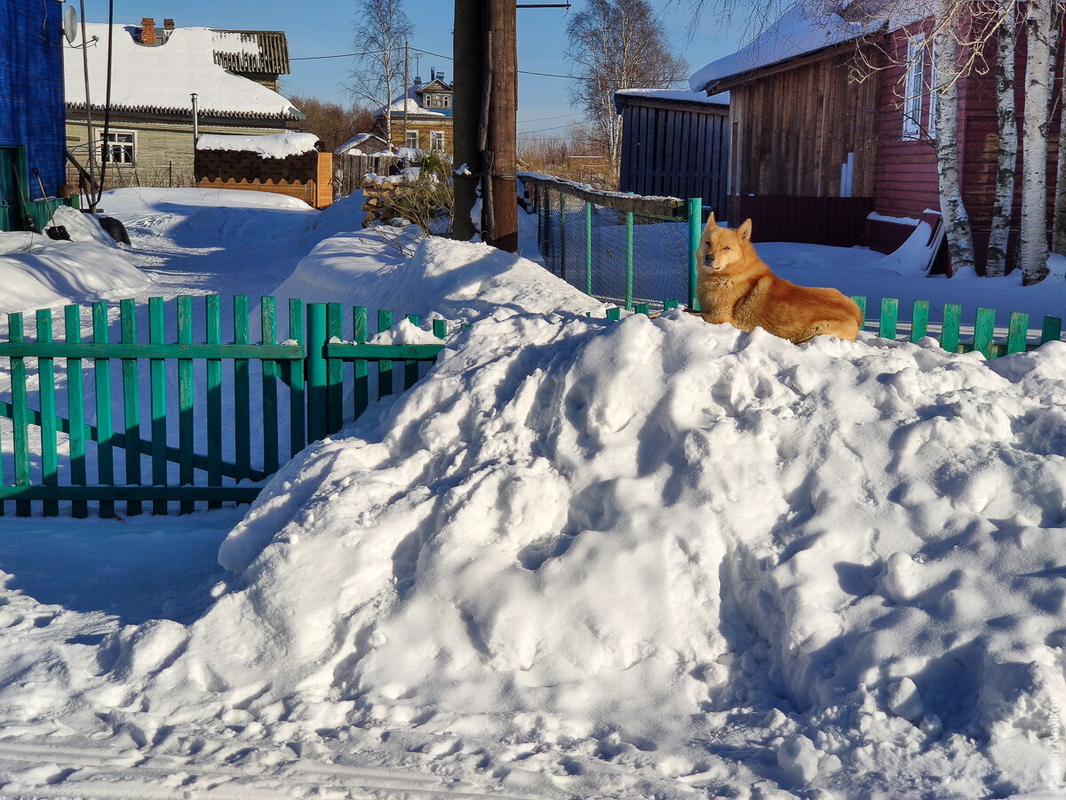 Канонерская 17 санкт-петербург. Остро 17. Остро 17. Остро 17. Канонерский остров 15.