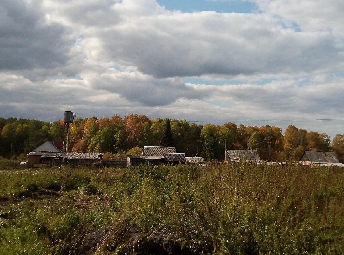Так выглядит природа в нашей деревне осенью.. 
