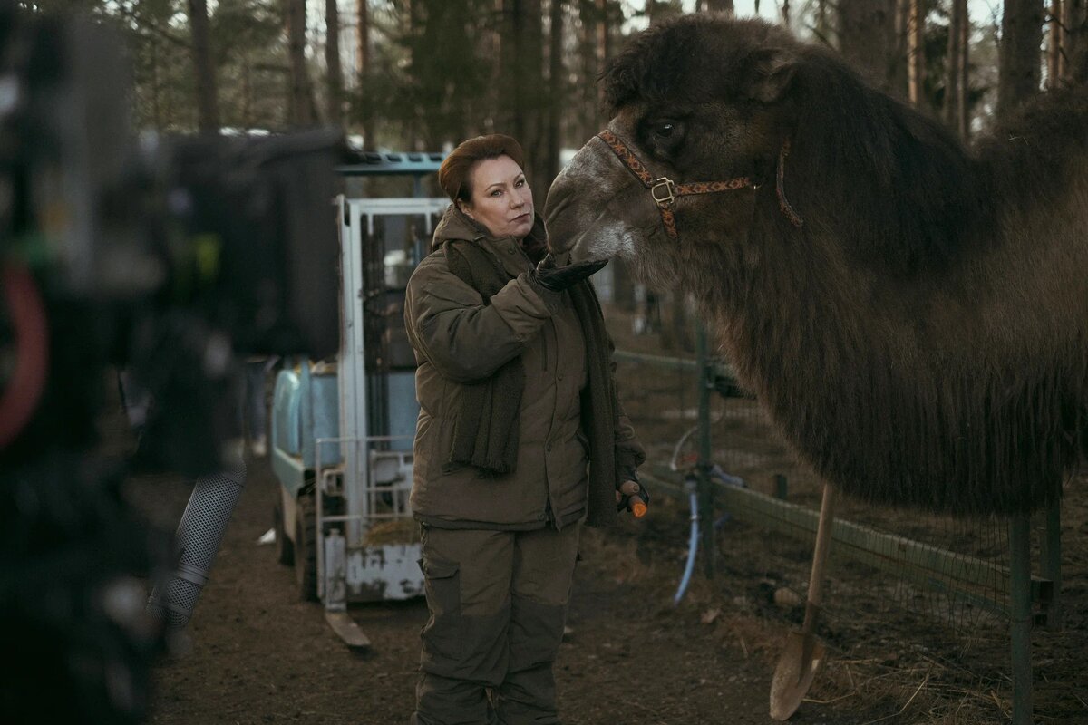 часики ужасы 2023