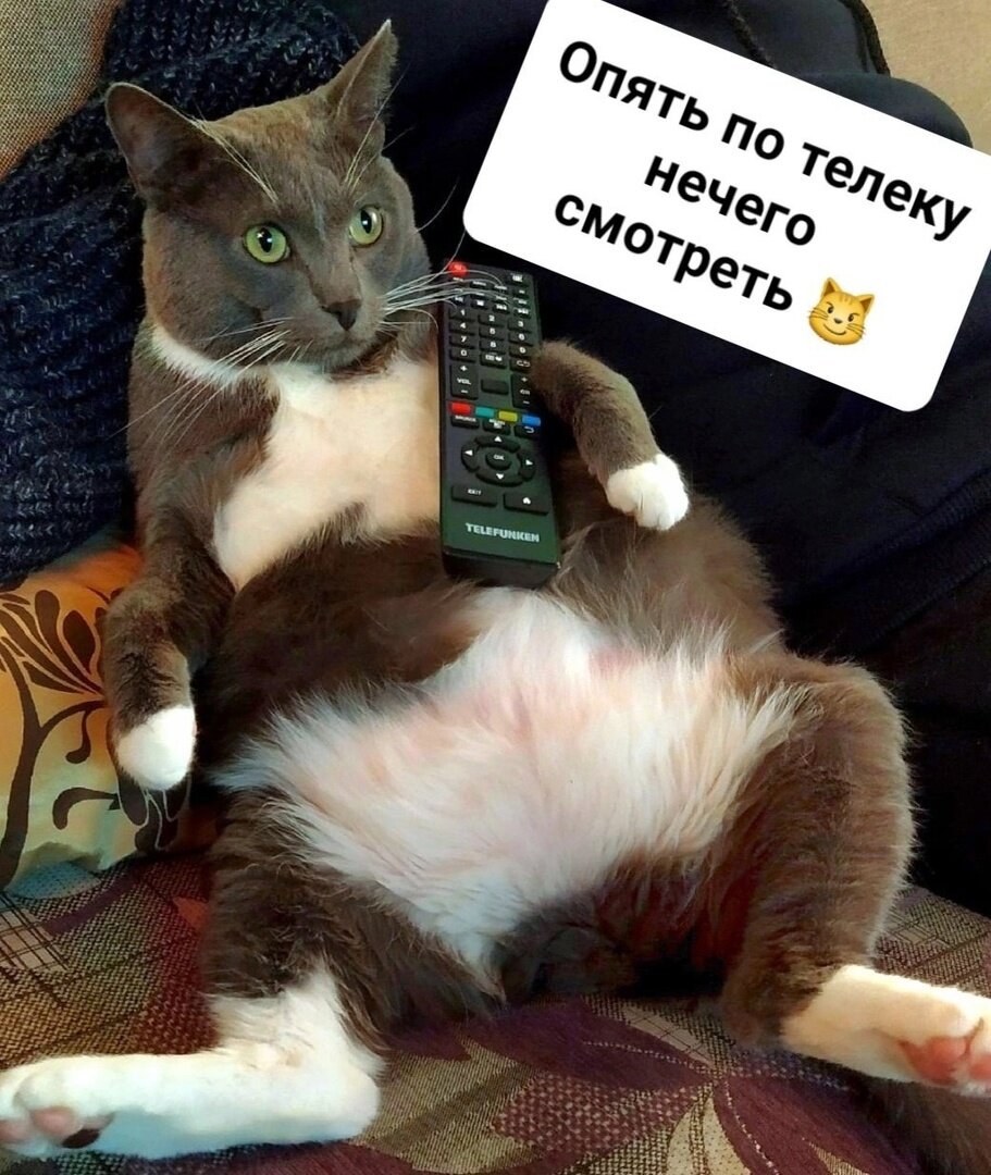 иллюстрация из яндекс картинки.