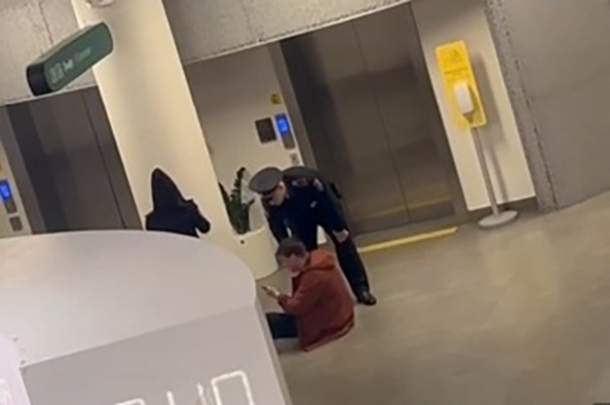    скриншот с видео