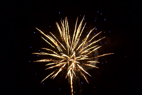 роль живых организмов в экосистеме. группа живых организмов люди. пищевая цепь продуценты консументы консументы. лестница аристотеля в биологии. живые цепочки в природе для дошкольников.