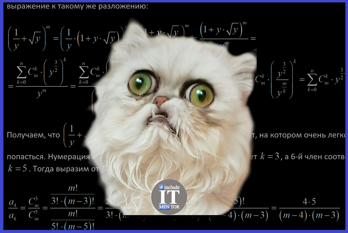 Девушка учитель. Математическое образование. Образование математика. Какому репетитору по математике. Репетитор математики.