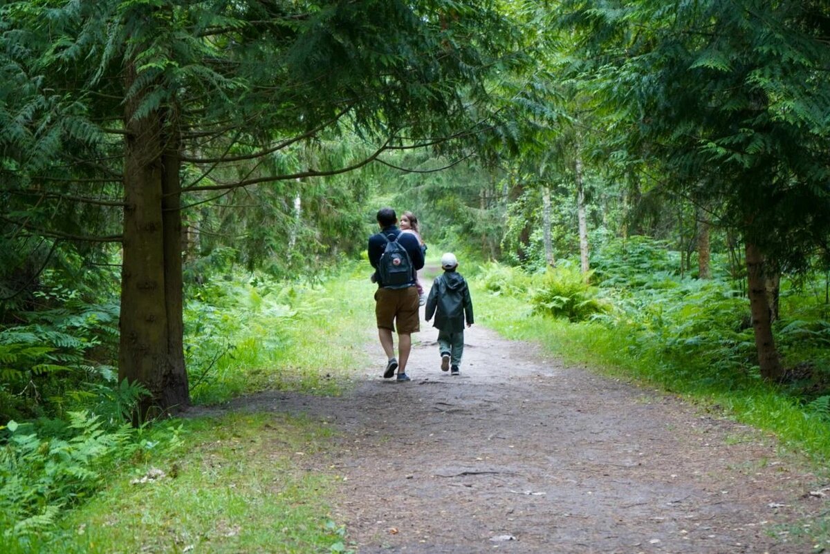 Тёмно-зелёные ели создают таинственную атмосферу. А ещё тут растут туи складчатые, которые могут достигать в высоту 60 метров. Их посадили здесь 500–600 лет назад. Фото: Денис Т. / Яндекс Карты