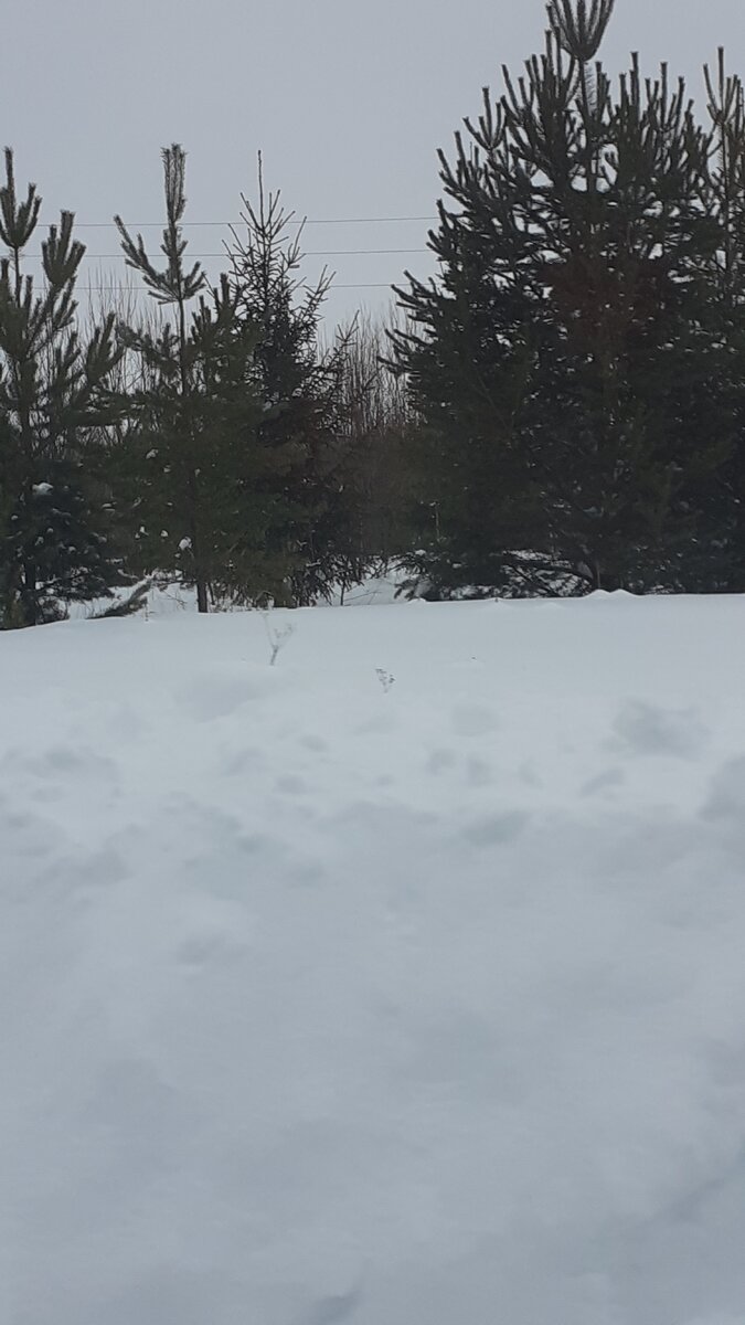 Зима изба деревня. Деревня в снегу. Деревенский домик зимой. Сядет снег. Зима в деревне.