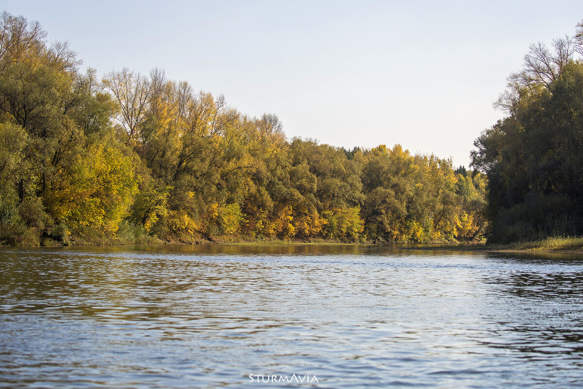 Каким должен бы ь настоящий друг. Каким качества должен оьдплать настоящий друн. Каким должен бы ь настоящий друг. Кто такой настоящий друг. Какой должен друг.