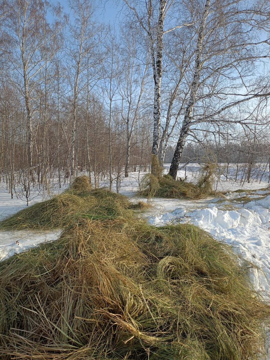 ФОТО: ЕВГЕНИЙ ШЕСТЕРНИН / TELEGRAM