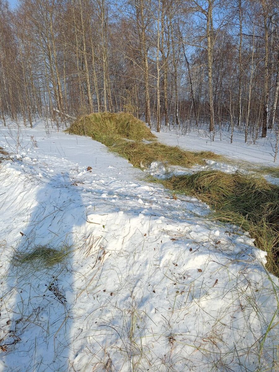 ФОТО: ЕВГЕНИЙ ШЕСТЕРНИН / TELEGRAM