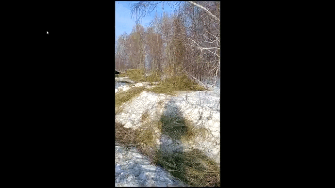 ВИДЕО: ЕВГЕНИЙ ШЕСТЕРНИН / TELEGRAM