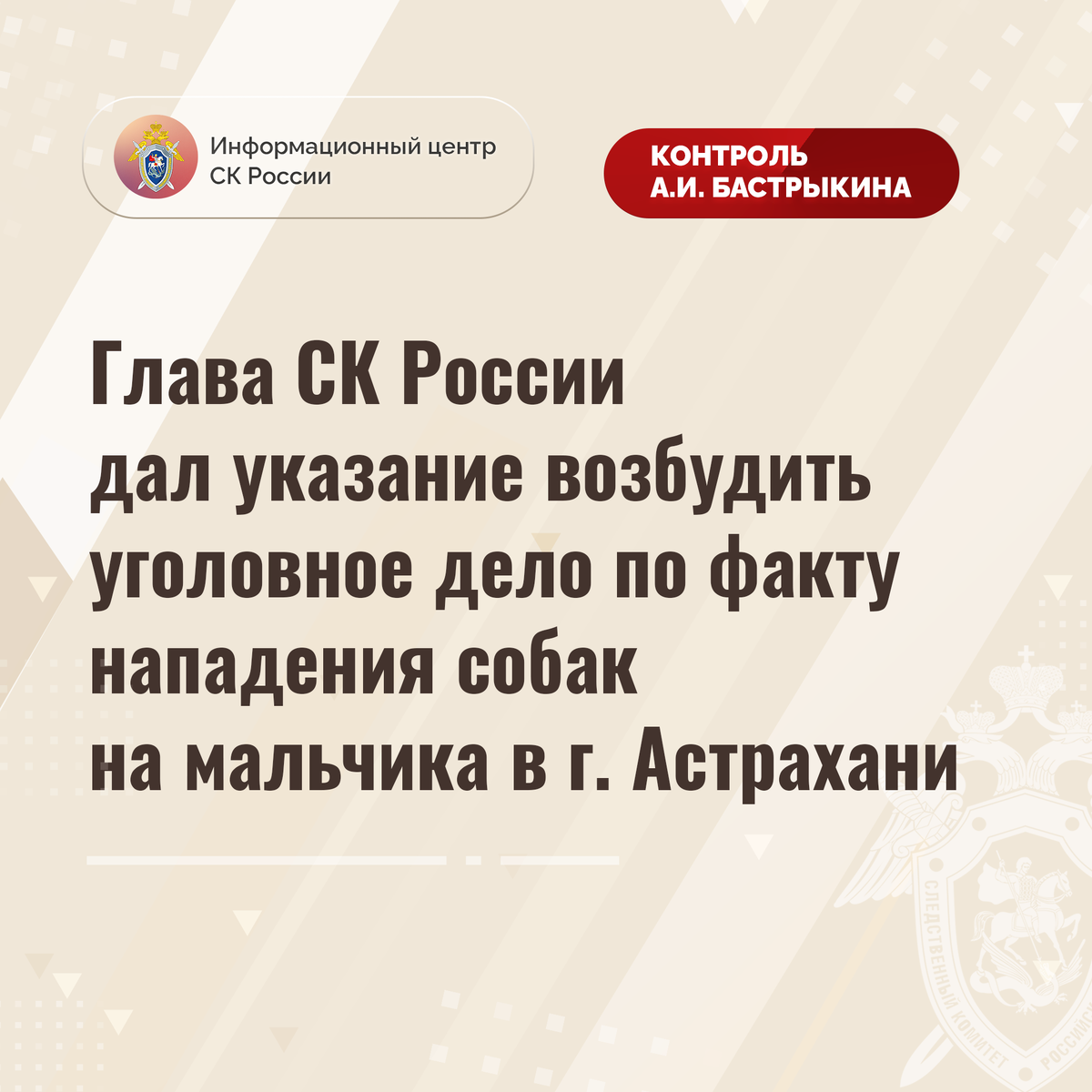 Указание дознавателю по уголовному делу. Указание дознавателю по уголовному делу