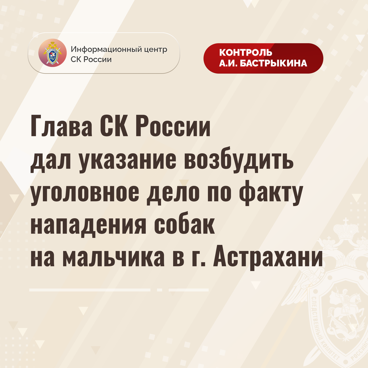 Глава СК России дал указание возбудить уголовное дело по факту нападения  собак на мальчика в г. Астрахани | Информационный центр СК России | Дзен