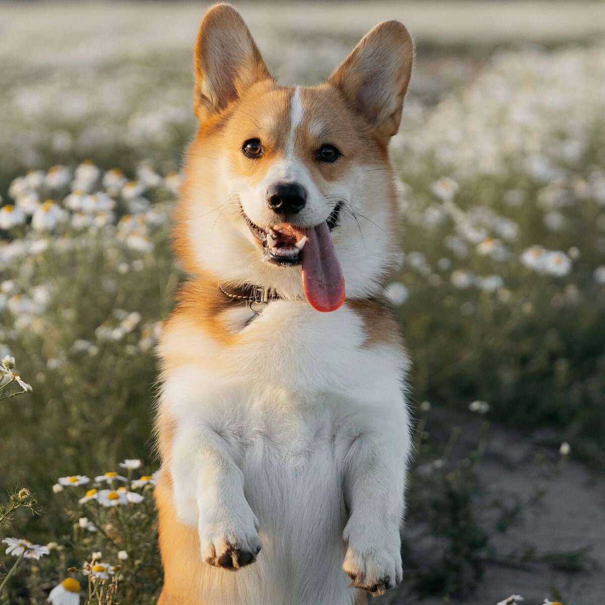 Полицейские насильники. Убийство заключенных в сизо. Избиение заключенного в ярославской ик-1. Издевательство над русским. Сотрудники ярославской колонии.