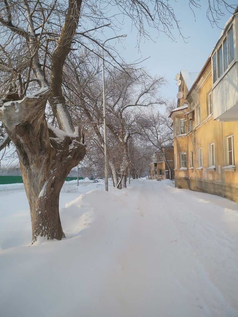 старые самарские домики, которым тоже, как митохондриям с маленьким кольцом ДНК, придется уйти и уступить место новым, современным, высотным