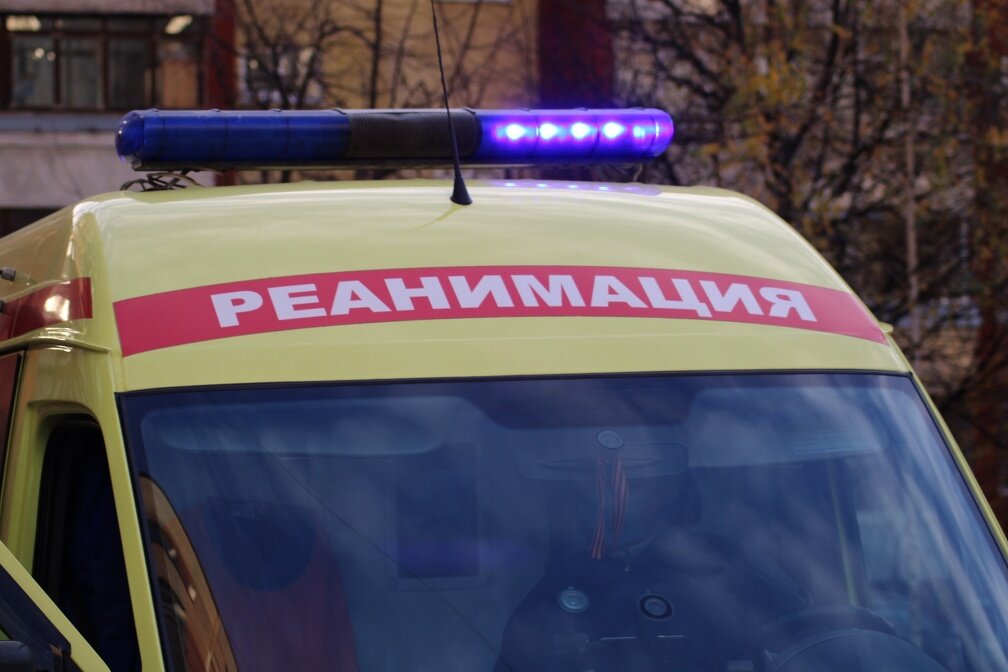 ИА «Тульская пресса»📷
