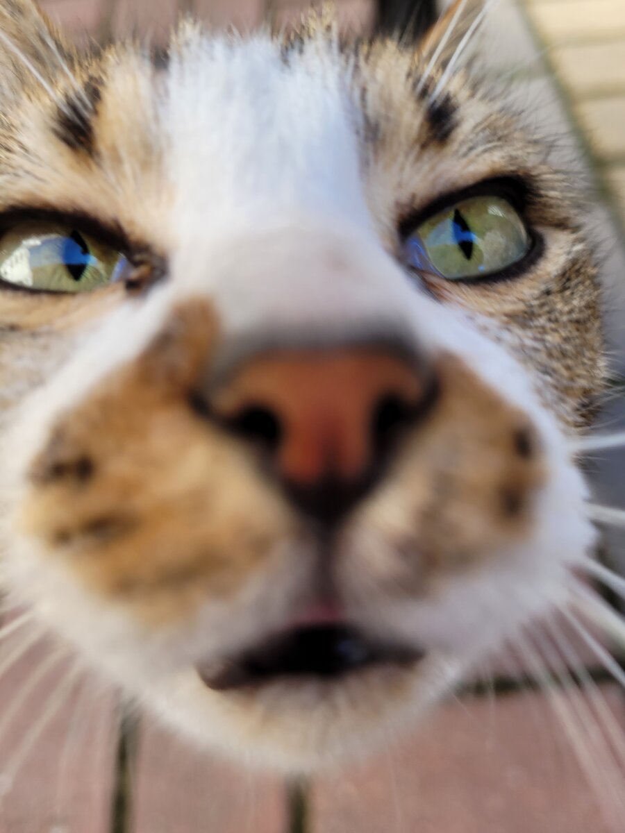 предпенсионеры в турции. российские пенсионеры в турции. предпенсионеры в турции. пенсионеры в турции. пенсионеры в турции.