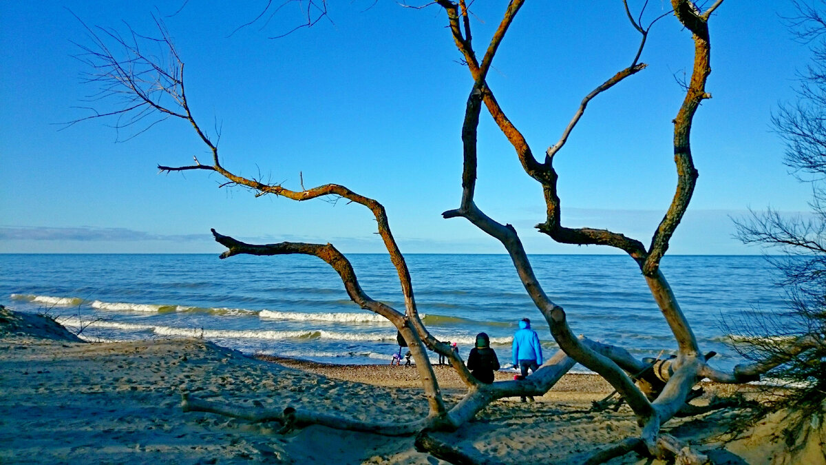 скажи слово приколы. шутки про подвал. ты тише тише с королем то. мемы. путин мем затупил.