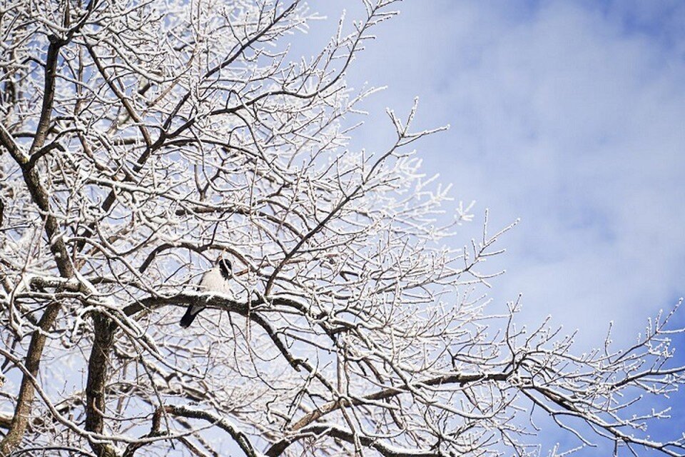 Погода чапаевск самарская на 3. Погода чапаевск самарская на 3. Погода чапаевск самарская на 3. Самара город чапаевск. Чапаевск весна.