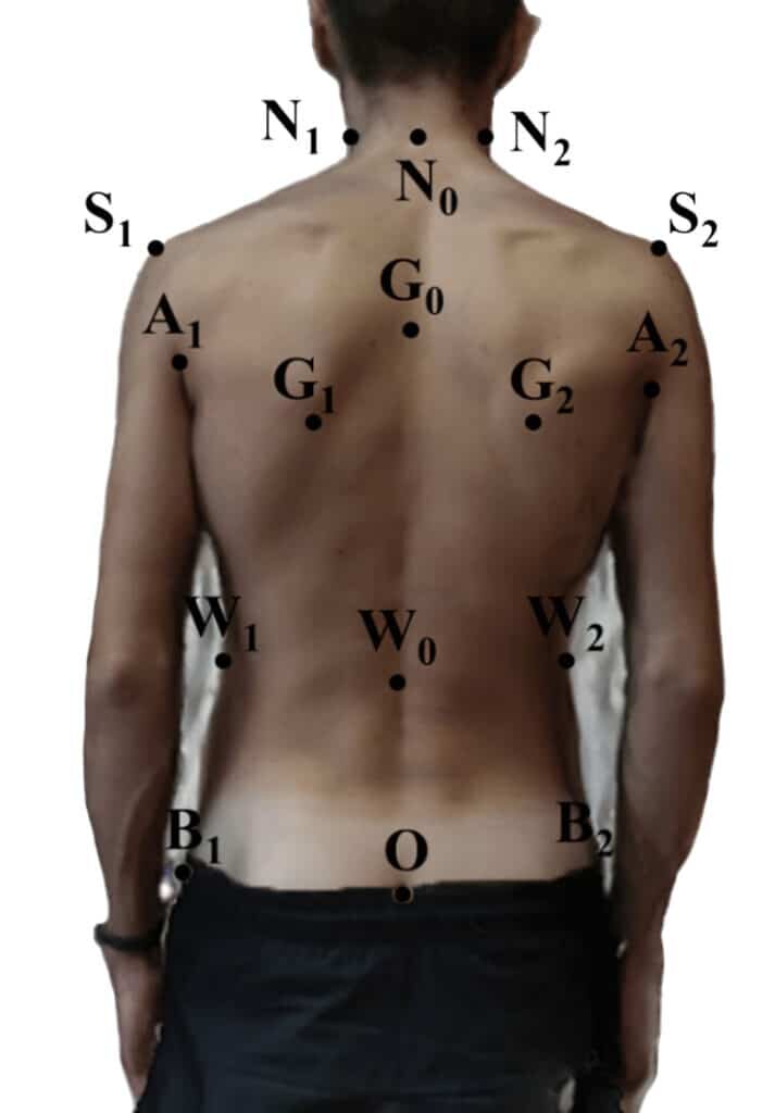    Реперные точки спины / © Пресс-служба ПНИПУ