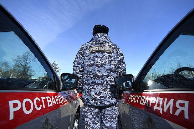    Фото: Максим Богодвид / РИА Новости