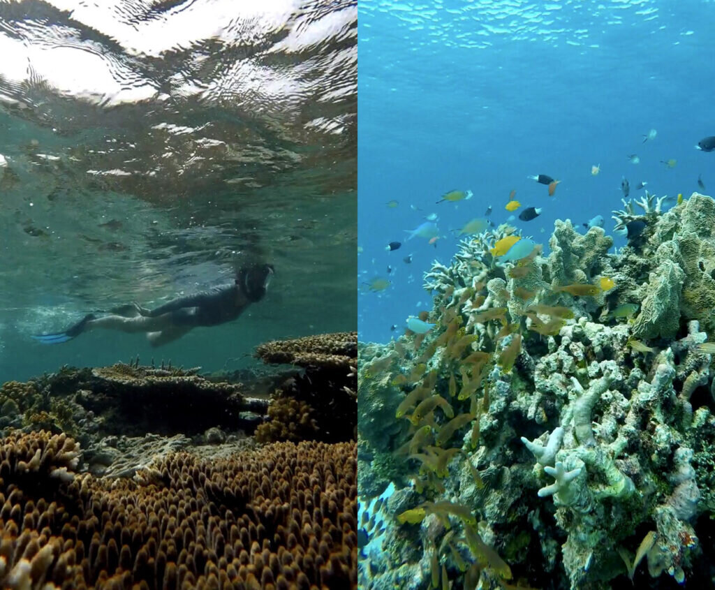 Спасо-каменный монастырь вологда. Игра уборщик островов. Монастырь на острове ионе. Игрушки спаситель остров. Мусорное ранчо.