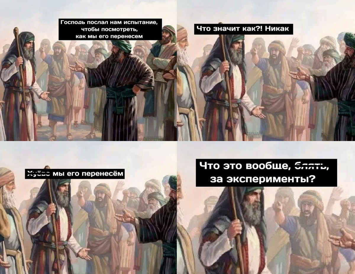 Экзамены на 100 баллов. Результаты егэ 100 баллов обществознание. Репетитор русского языка. Курсы по егэ. Репетиторство по русскому языку.