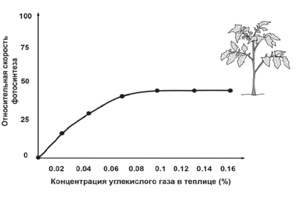 Минимальные баллы егэ. Минимальный балл для поступления. Проходной балл. Минимальные баллы егэ. Средний балл на бюджет.