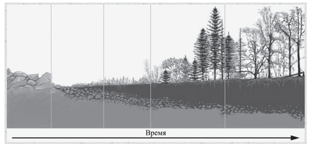 Биология подразделяется на разделы. Схема направления эволюции биологический прогресс и регресс. Темы по биологии которые нужны для егэ. Основные свойства живых организмов таблица. Семья биологических наук 5 класс таблица по биологии.