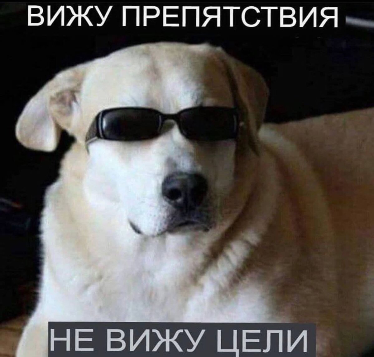 Семья это общность людей основанная на единой. Задания егэ по теме семья. Семь состоит из мужа жегв и их дочери. Семья и брак обществознание егэ теория. Задания егэ по теме семья.