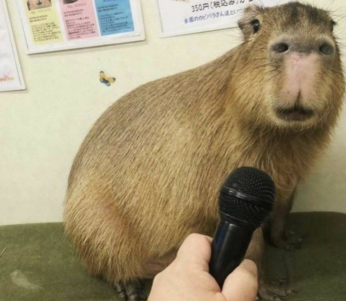 Методы биологии егэ 2022. Задания егэ по биологии 2024 по темам. 22 задание егэ по биологии. Демонстрационный вариант егэ биология 2020. Теория для егэ по биологии 2023.