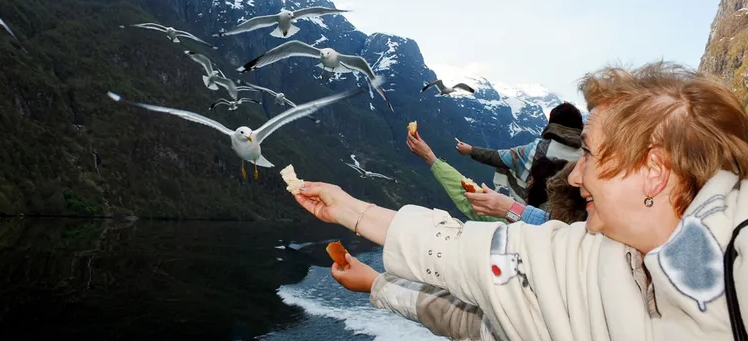 повышение пенсии в апреле 2024 года социальной