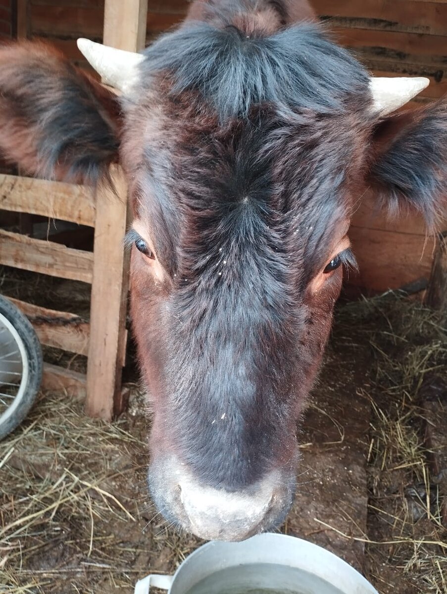 Вишенка позирует