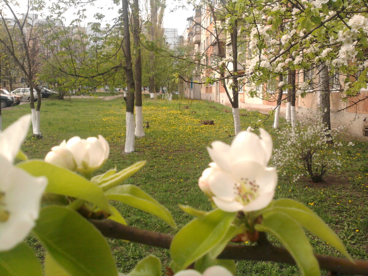 Фото из личного архива